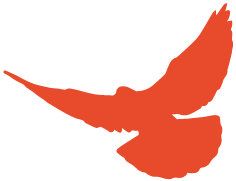 153712_064662_gsdt.png 8.png