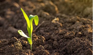 154954_916808_gsdt.png 6.png