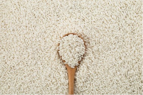 155134_455136_gsdt.png 8.png