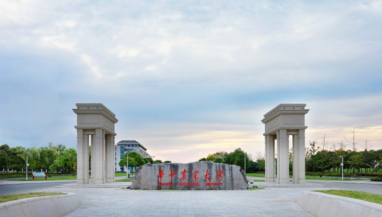 135846_488198_gsdt.png 圖片1.png