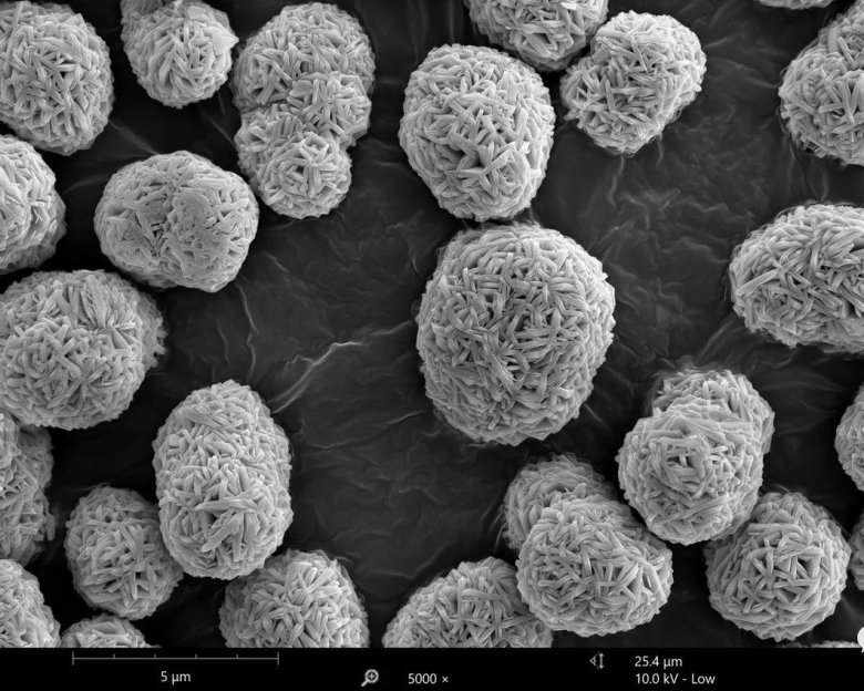 120243_696424_gsdt.jpeg 120243_696424_gsdt.jpeg