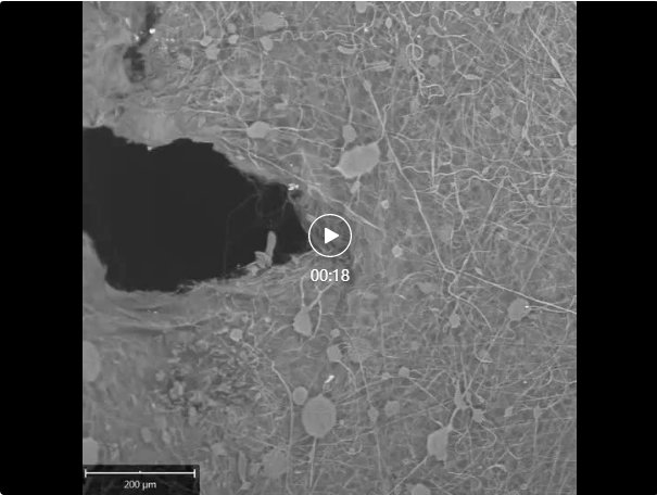 105221_896852_gsdt.png 3-2.png