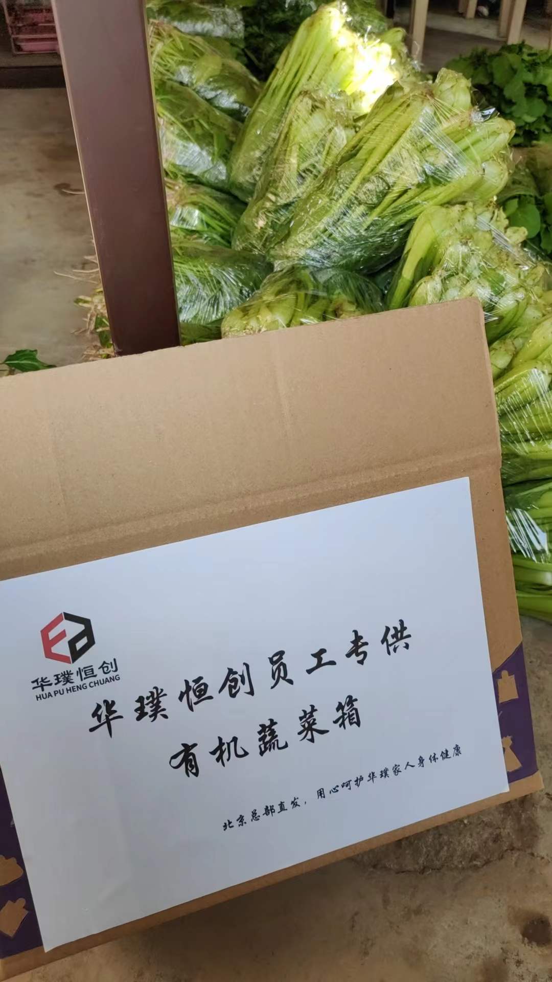 143900_697995_gsdt.jpg 菜園1.jpg