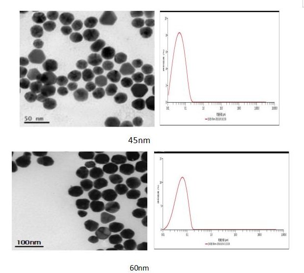 094755_187952_gsdt.png 圖片3.png