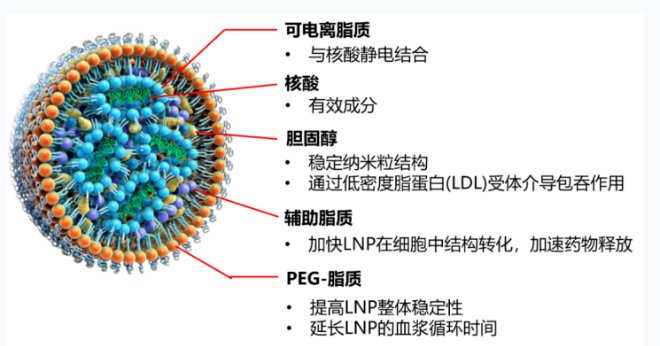 171254_994065_gsdt.png image.png