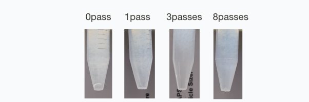 111304_111786_gsdt.png image.png