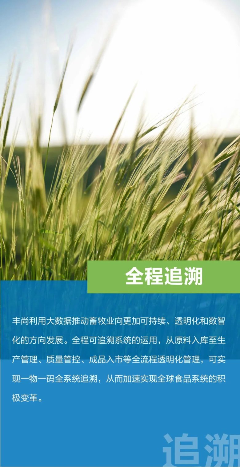 084941_818335_gsdt.jpg 6-3.jpg