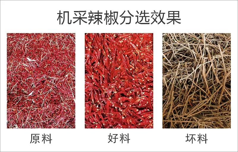 082939_410181_gsdt.jpg 082939_410181_gsdt.jpg