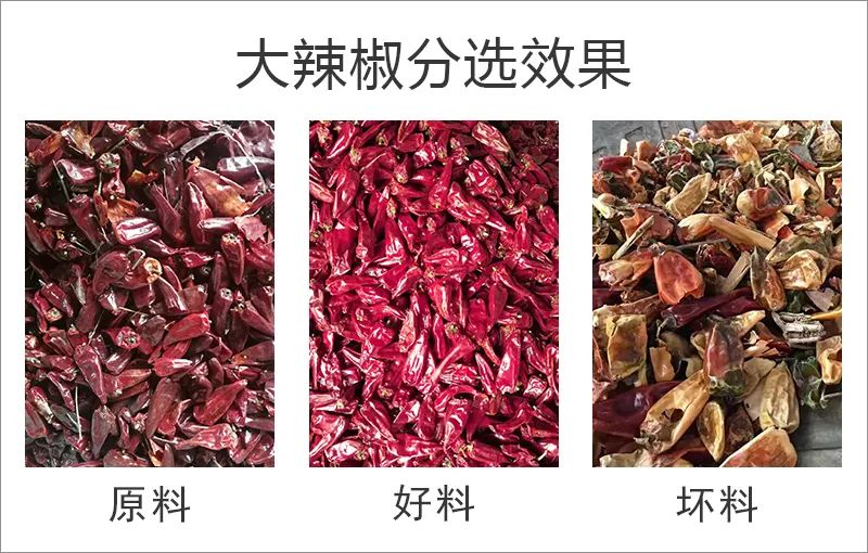 083010_888447_gsdt.jpg 083010_888447_gsdt.jpg