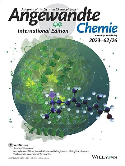 083431_386990_gsdt.png 083431_386990_gsdt.png