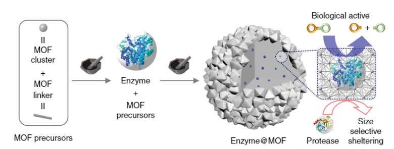 171641_599665_gsdt.png 171641_599665_gsdt.png