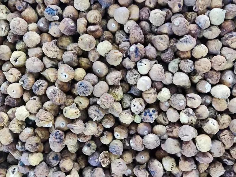 150033_548691_gsdt.jpg 150033_548691_gsdt.jpg