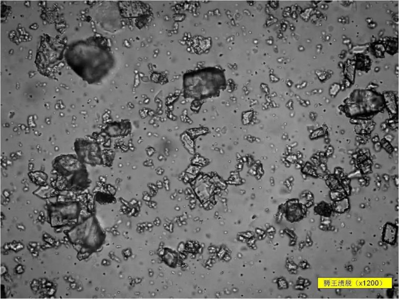 093822_416275_jswz.jpg 093822_416275_jswz.jpg