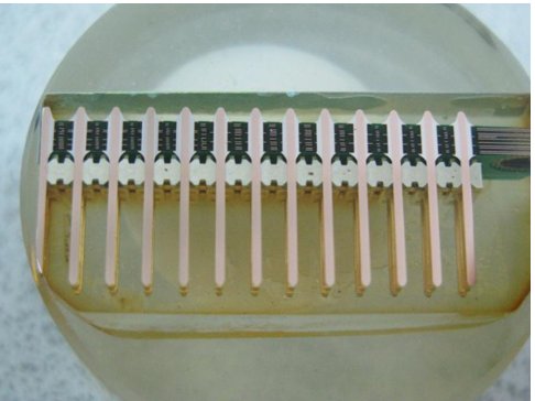 093509_100281_jswz.png 微信圖片_20240415093320.png