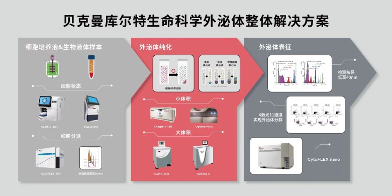 171603_458543_gsdt.jpg 171603_458543_gsdt.jpg