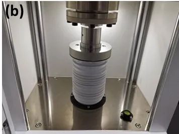 100400_008978_jswz.jpg 100400_008978_jswz.jpg