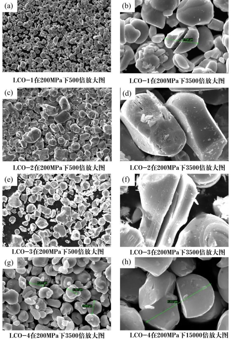 101057_044772_jswz.jpg 101057_044772_jswz.jpg