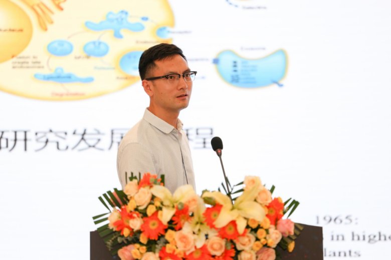 082826_422969_gsdt.png 082826_422969_gsdt.png