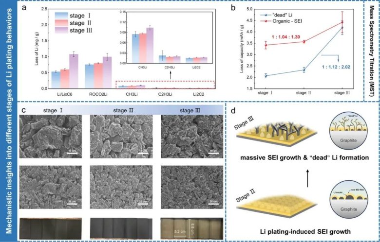 140038_827870_jswz.jpg 10.jpg