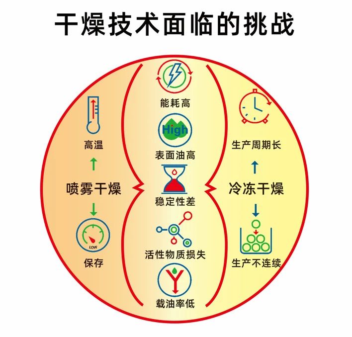 181141_323637_gsdt.jpg 181141_323637_gsdt.jpg