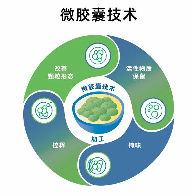 181220_898821_gsdt.jpg 181220_898821_gsdt.jpg