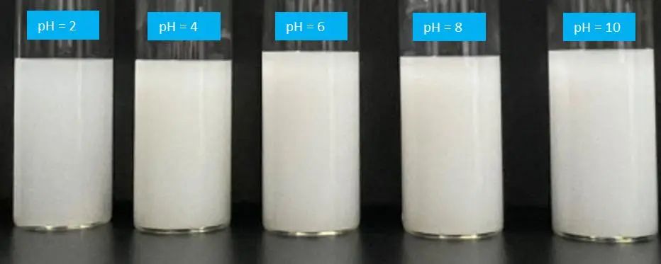 103025_839779_jswz.jpg 103025_839779_jswz.jpg