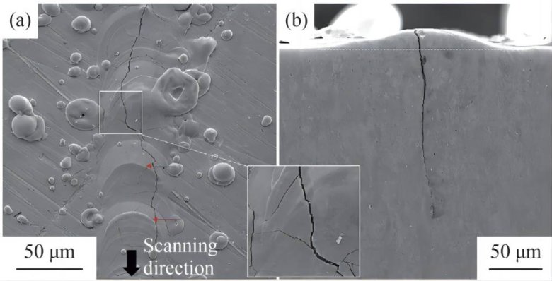 100052_392077_gsdt.jpg 微信圖片_20240826173425.jpg