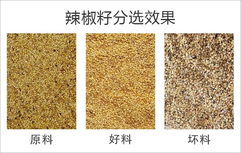 091008_479527_gsdt.jpg 091008_479527_gsdt.jpg