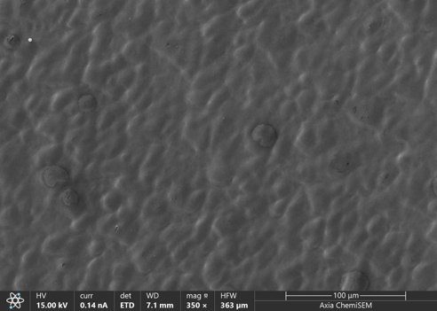 155114_386558_jswz.png 155114_386558_jswz.png