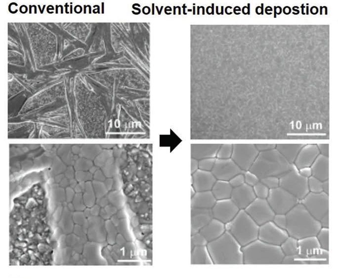 091808_773580_jswz.jpg 091808_773580_jswz.jpg