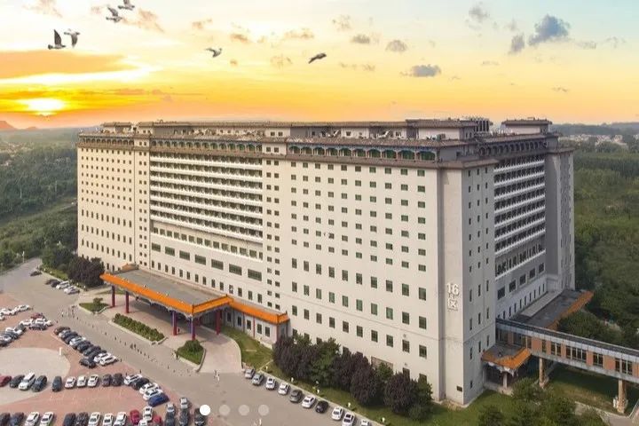 082150_137839_gsdt.jpg 082150_137839_gsdt.jpg