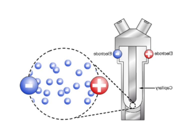 105503_135384_jswz.jpg 電泳光散射Zeta電位表征技術(shù)在電池材料中的應(yīng)用(三)-Emily.wu edited - 副本564.jpg