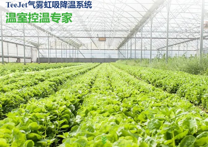 104531_439168_gsdt.png 104531_439168_gsdt.png