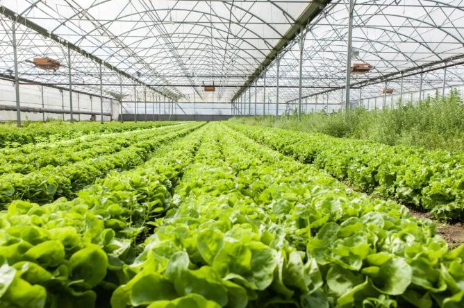 104550_590164_gsdt.png 104550_590164_gsdt.png