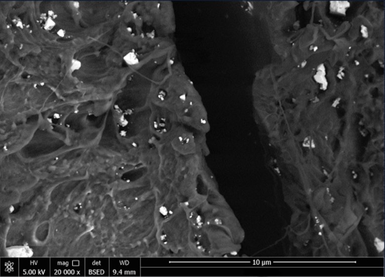 094415_899625_jswz.png 094415_899625_jswz.png