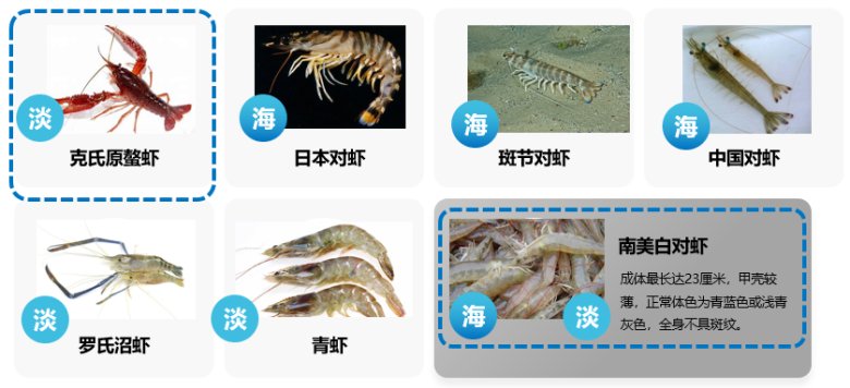 084332_160820_gsdt.png 084332_160820_gsdt.png