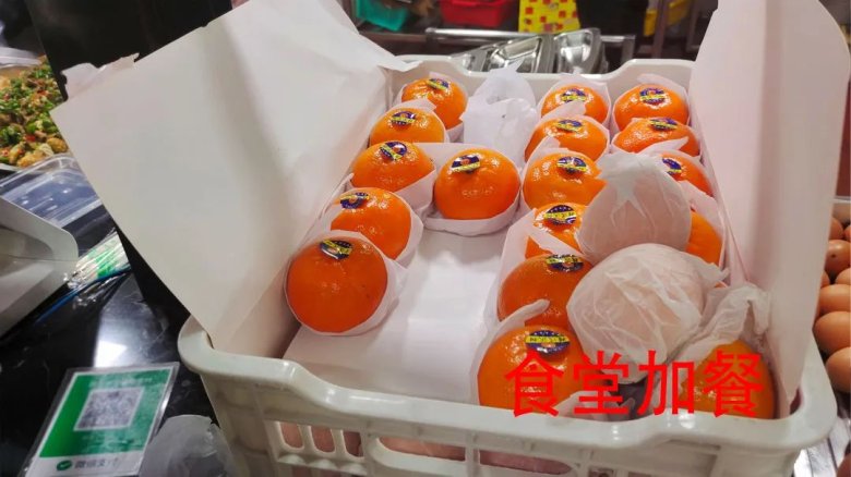 083348_837098_gsdt.jpg 083348_837098_gsdt.jpg