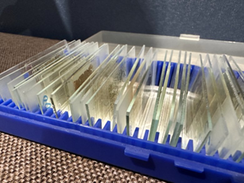 095122_969001_gsdt.png 095122_969001_gsdt.png