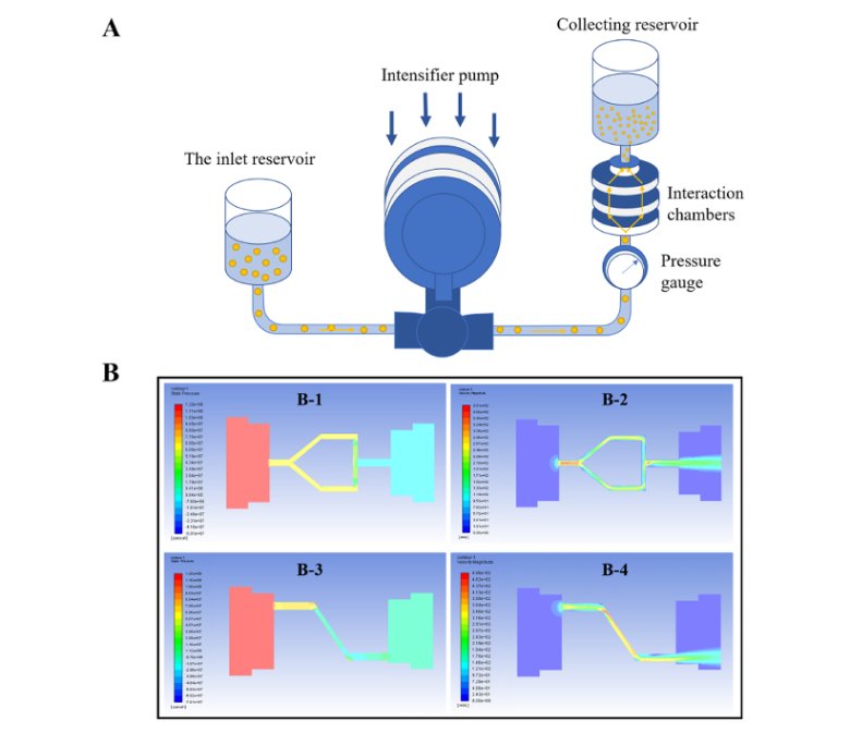 083408_174161_jswz.png 083408_174161_jswz.png