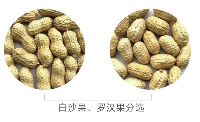 091458_969301_gsdt.png 091458_969301_gsdt.png