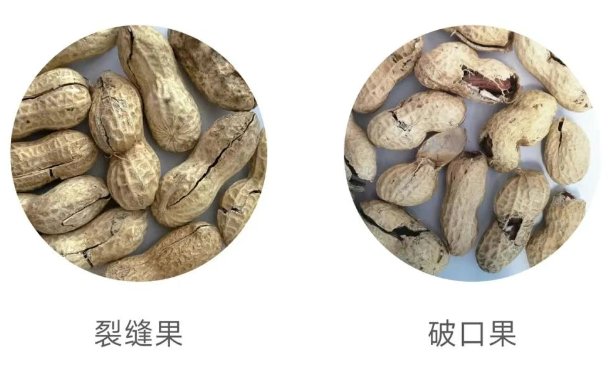 091514_264548_gsdt.png 091514_264548_gsdt.png