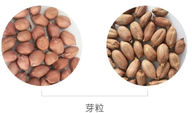 091534_771471_gsdt.png 091534_771471_gsdt.png