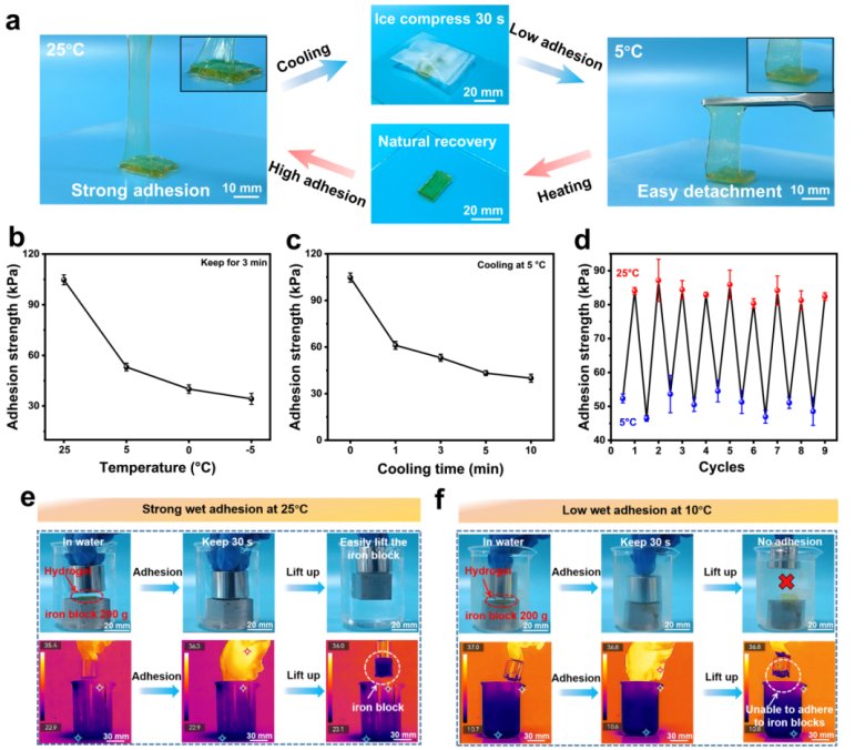 172332_077570_gsdt.png 172332_077570_gsdt.png