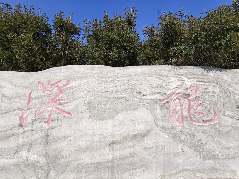 141236_817320_gsdt.jpg 河北深龍醫(yī)藥有限公司.jpg