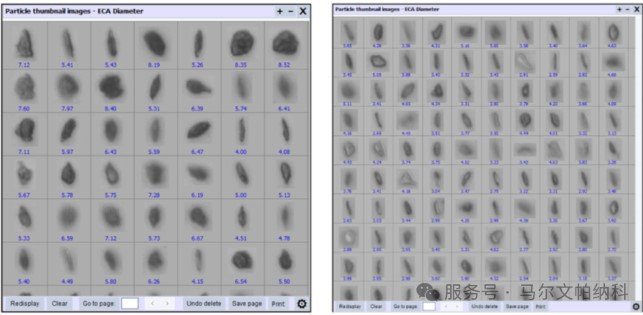 165737_796393_jswz.jpg 05.jpg