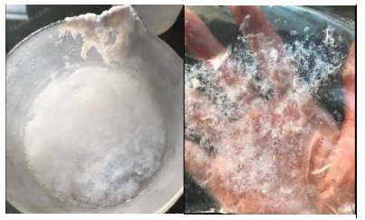 142724_912811_gsdt.png 142724_912811_gsdt.png