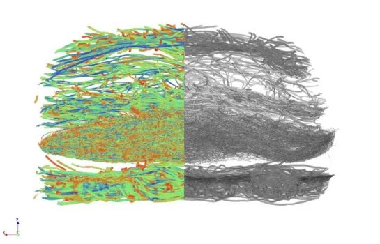 163723_196352_gsdt.png QQ圖片20250911163507.png