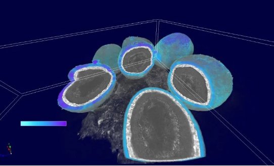 163742_302687_gsdt.png QQ圖片20250911163522.png