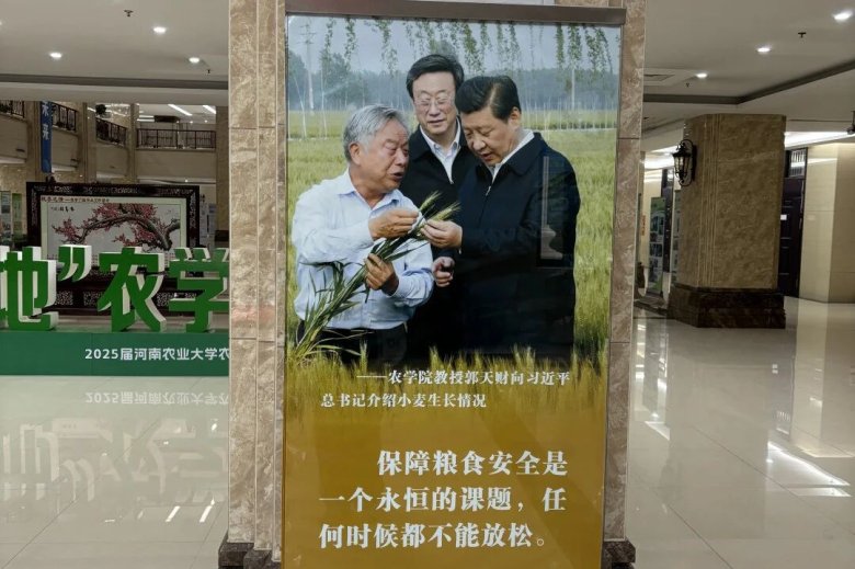 101553_809899_gsdt.jpg 101553_809899_gsdt.jpg