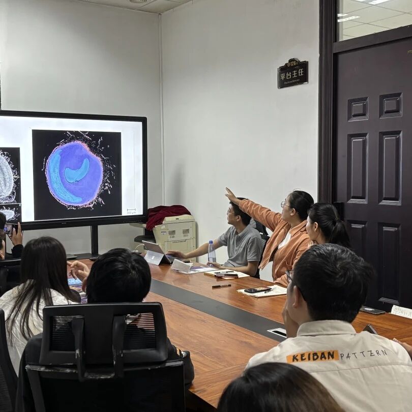 101749_486305_gsdt.jpg 101749_486305_gsdt.jpg